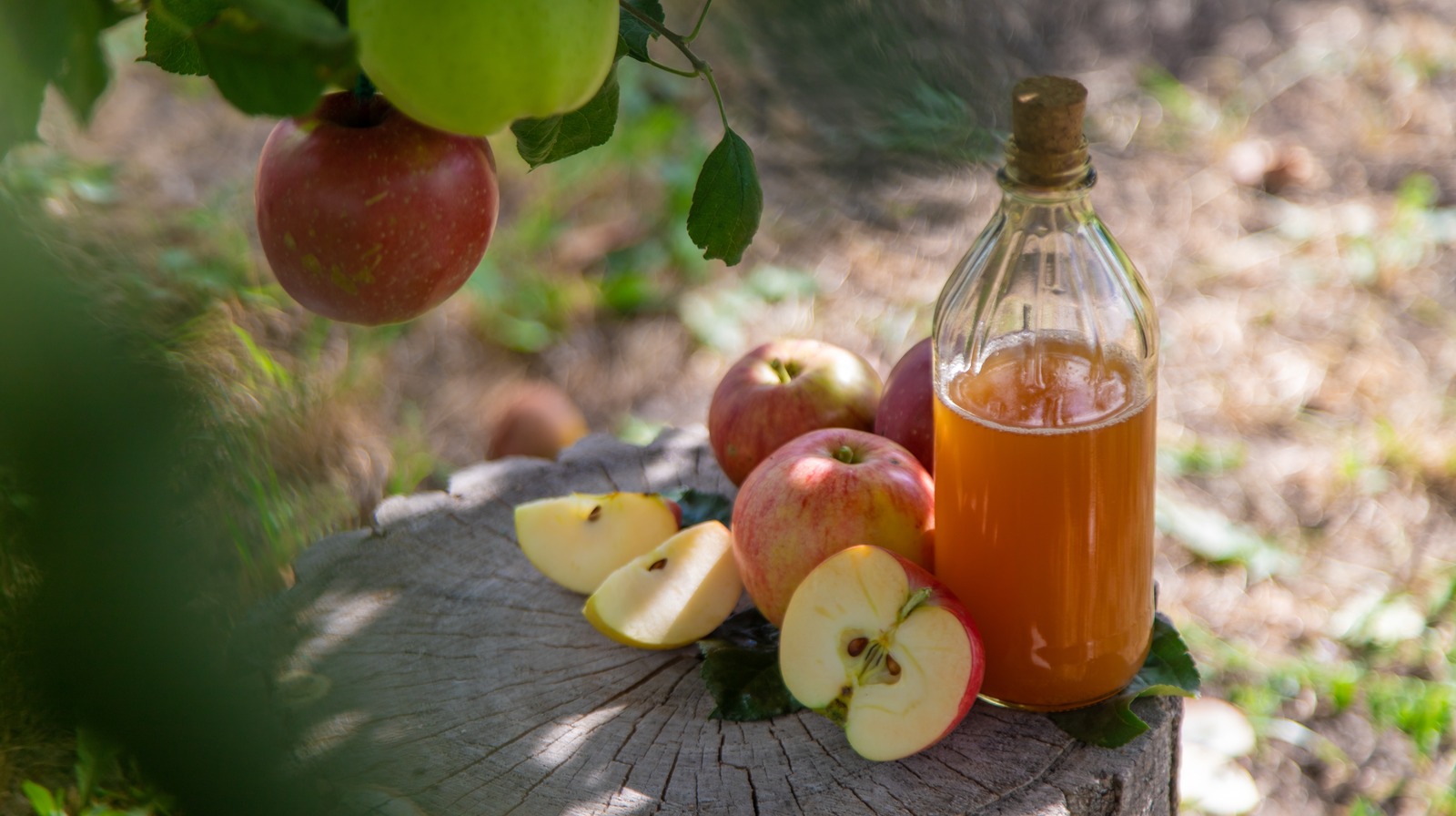 Apple,Cider,Vinegar,In,The,Garden.,Selective,Focus.,Food.